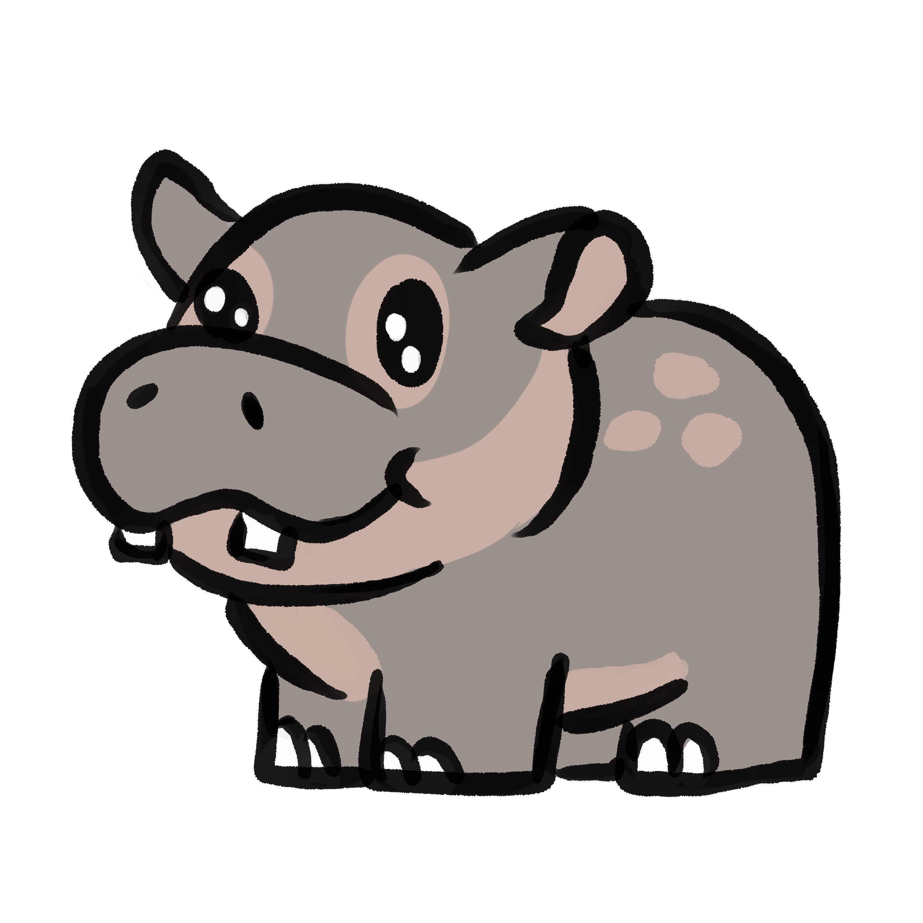 HIPPO banner